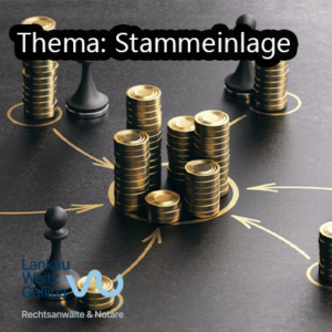 Stammeinlage